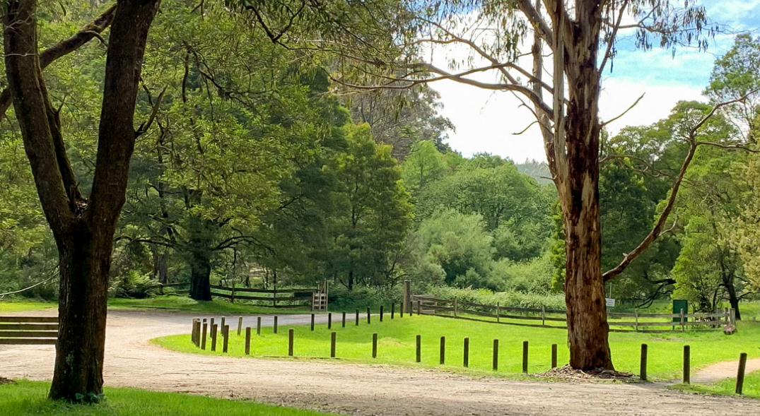 Mount Worth State Park